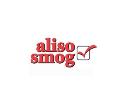 Aliso Smog Check logo